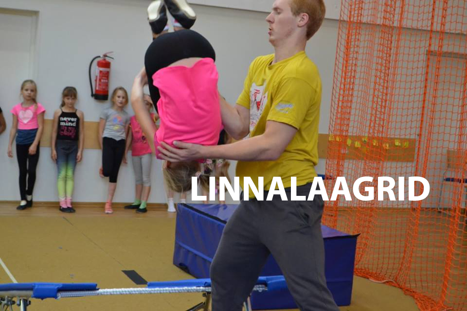linnalaage